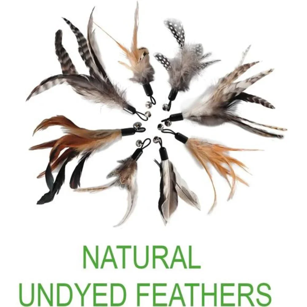 Cat Toys - No Chemical Dyeing Cat Feather Toys for Indoor Cats